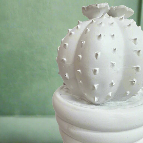 White potted cactus