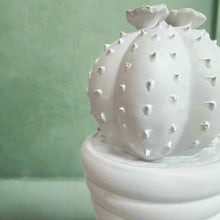 White potted cactus