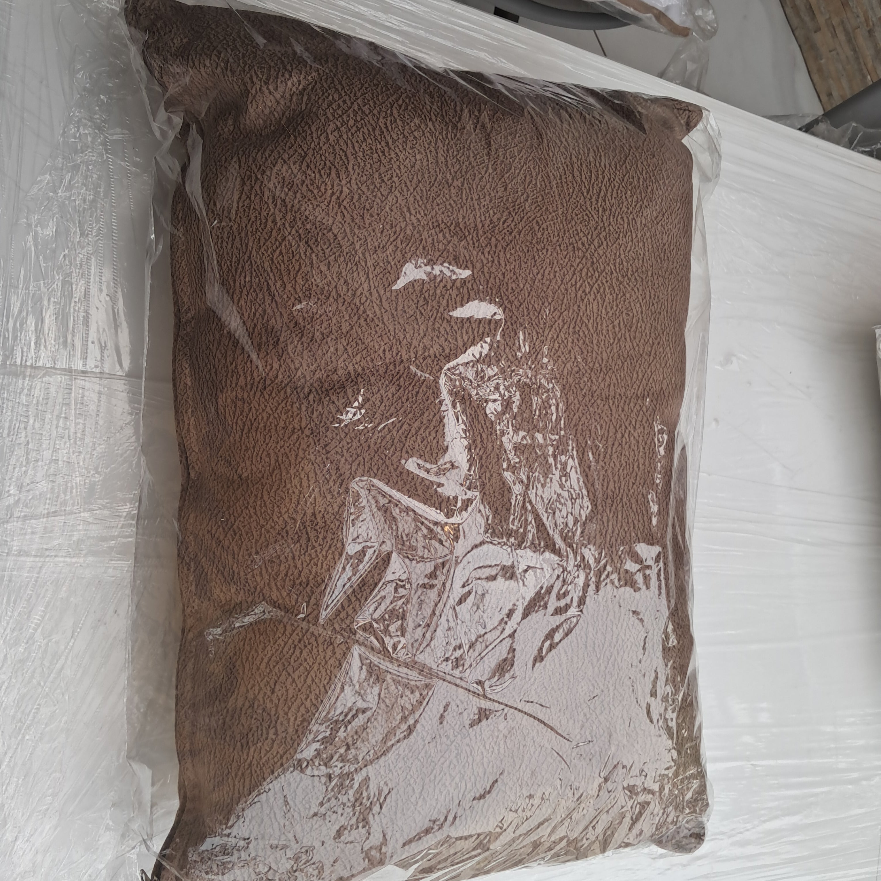 Decorative Pillows
