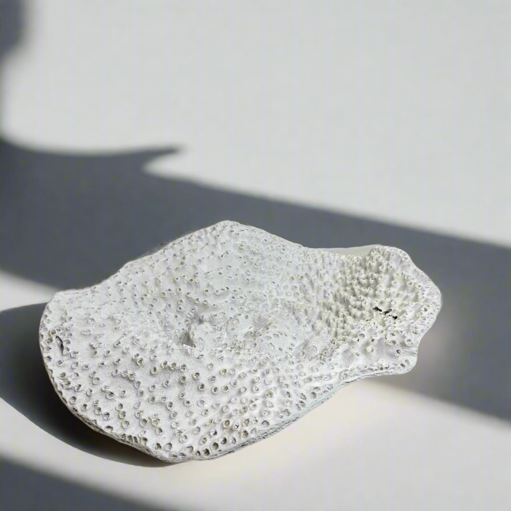 Coral decorative tray – view 3