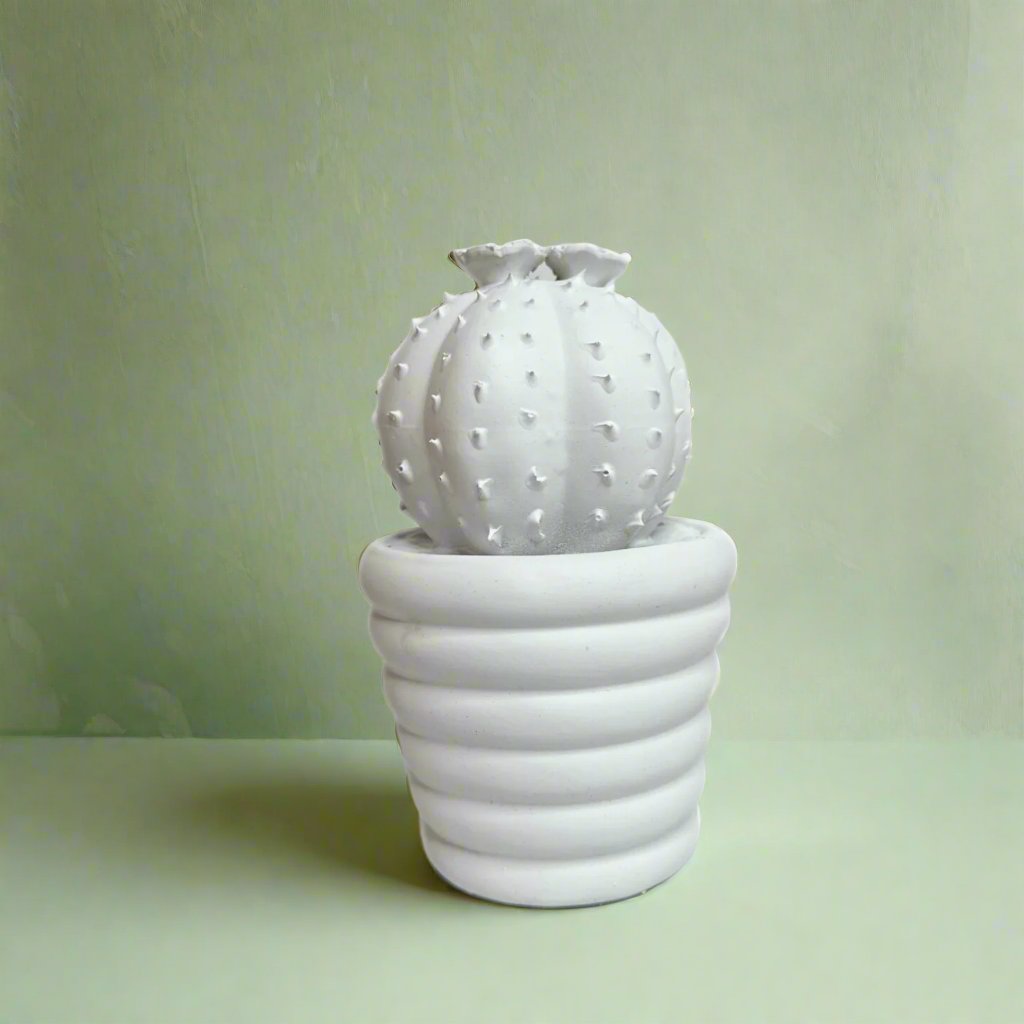 White potted cactus – view 2