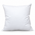 INHOME Cushion Insert – actual intake photograph CUS0001, 1 October 2026