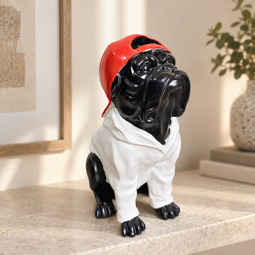 Cool dog — lifestyle
