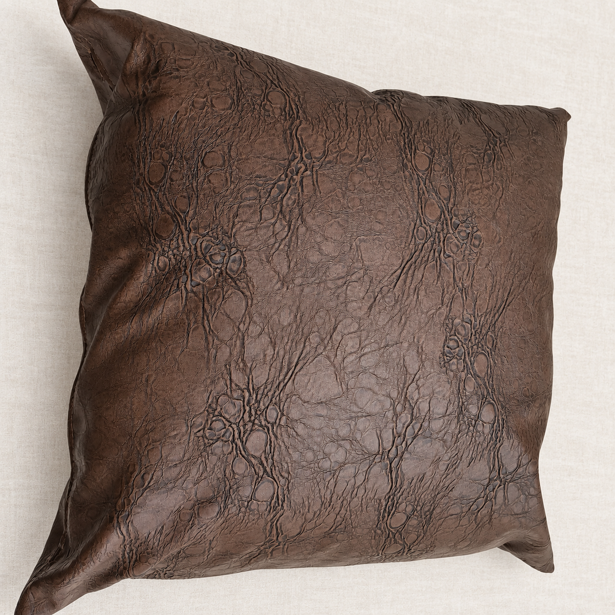 Decorative Pillow/Leather — hero