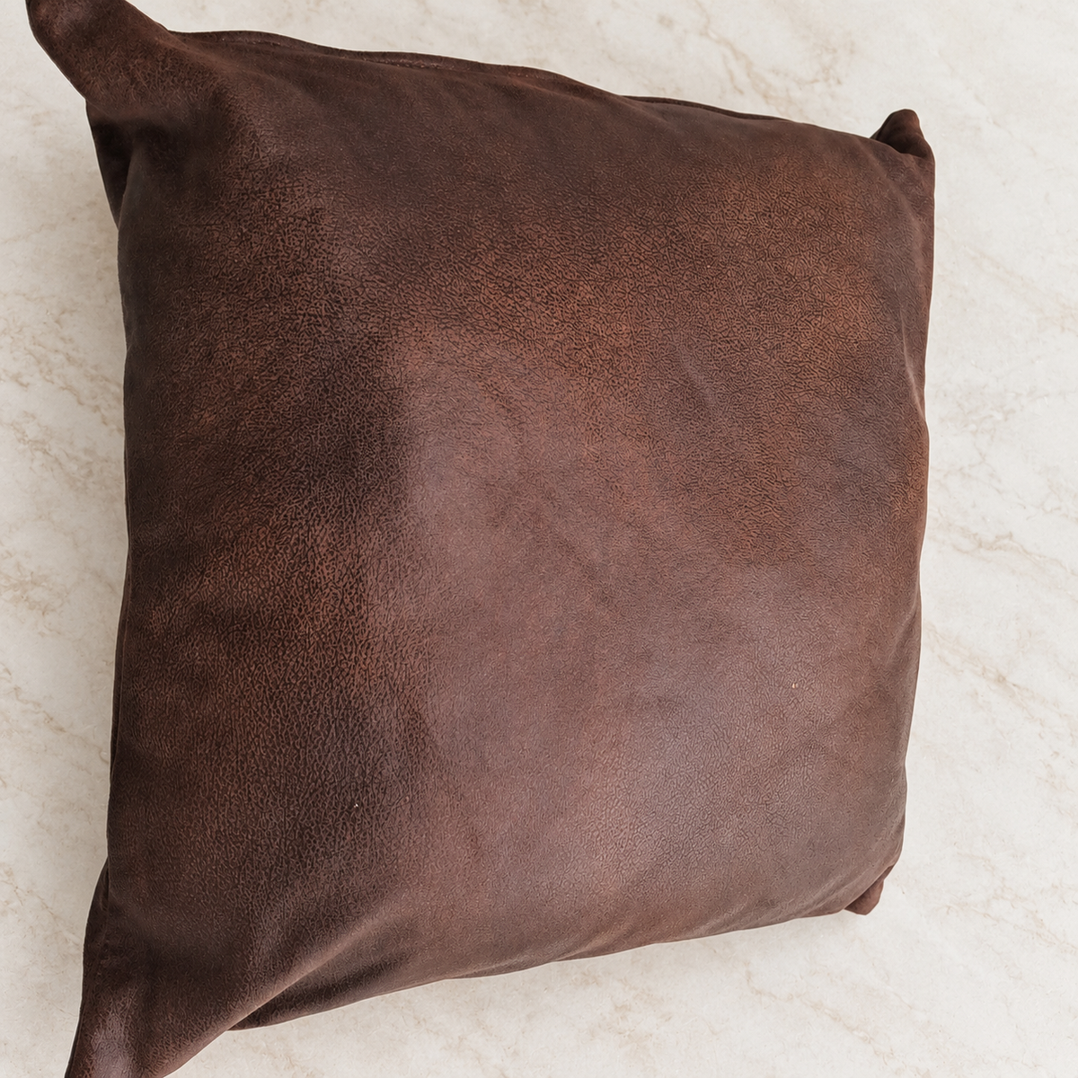 Decorative Pillows/Leather — hero